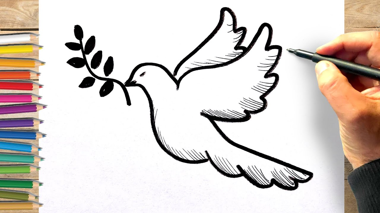 Faire un dessin d’une colombe
