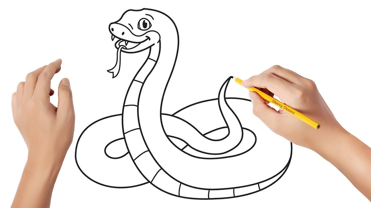 Faire un dessin d’un serpent
