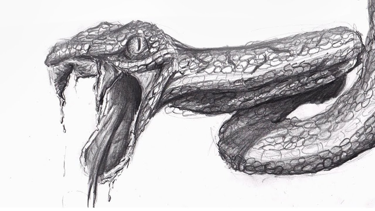 Faire un serpent avec des détails au dessin